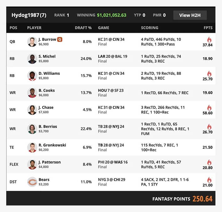 DraftKings NFL Week 17 Winner