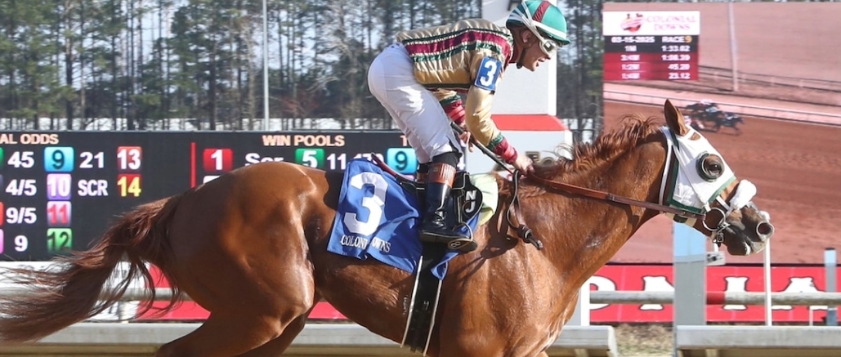 2025 Preakness Stakes Odds, Predictions, and 2 Best Bets