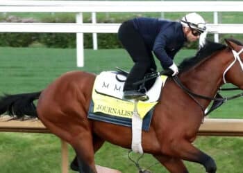 2025 Belmont Stakes Odds, Predictions, and Best Bets