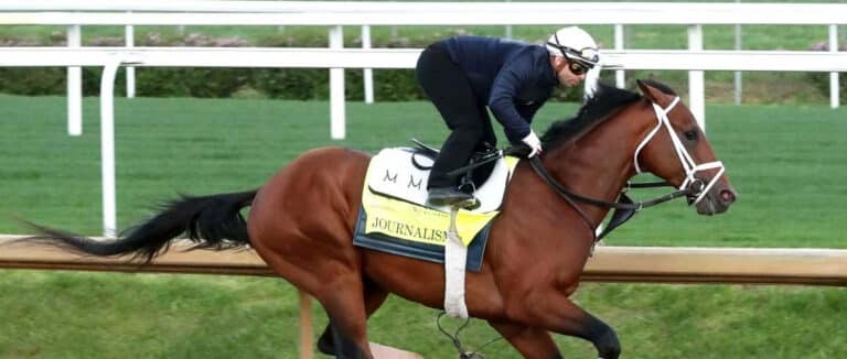 2025 Belmont Stakes Odds, Predictions, and Best Bets