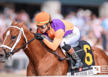 Further Ado Will Be at the Kentucky Derby