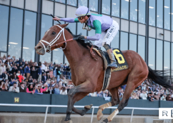 Renegade Horse Racing