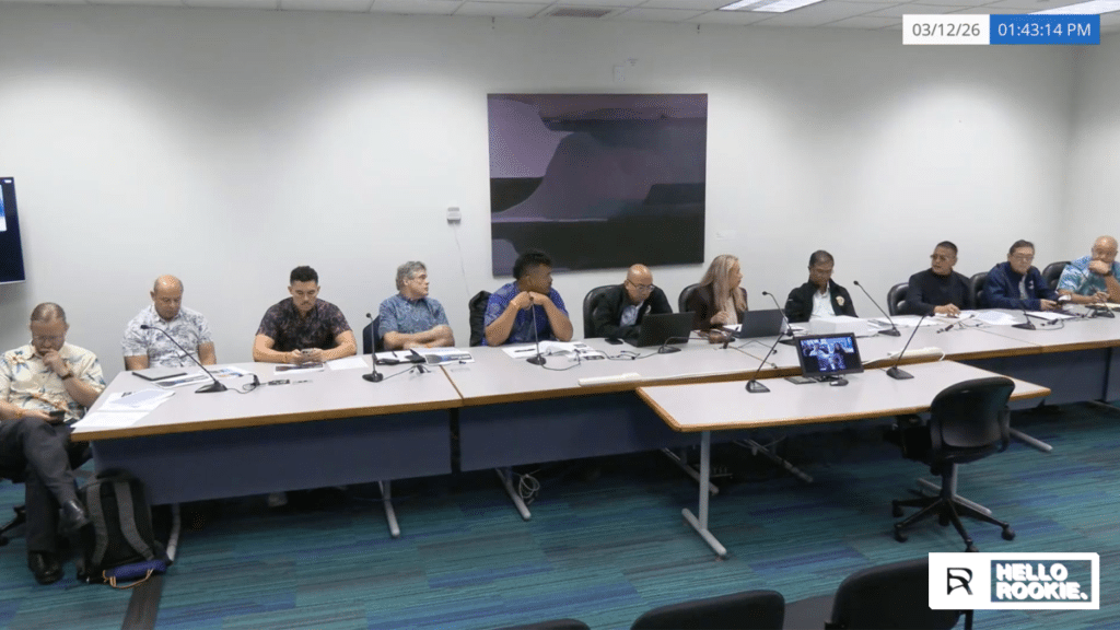 Tourism and Gaming Working Group in Hawaii