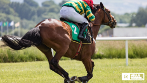 Stephen Foster Stakes