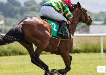 Stephen Foster Stakes