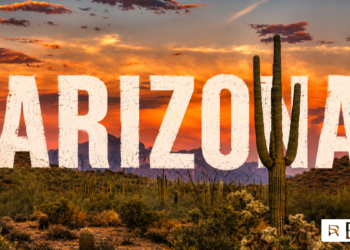 Arizona Sports Betting Licenses