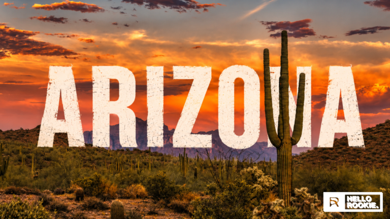 Arizona Sports Betting Licenses