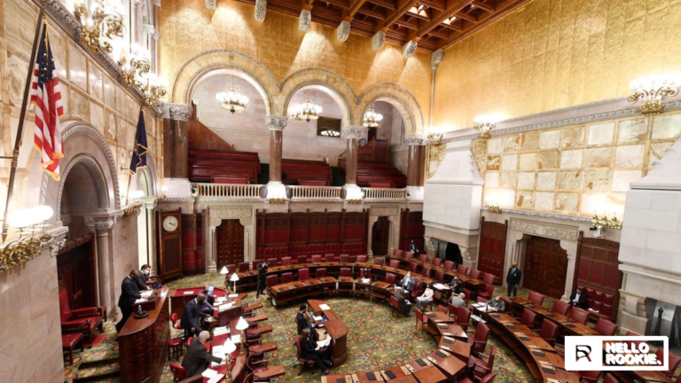 New York General Assembly Voting