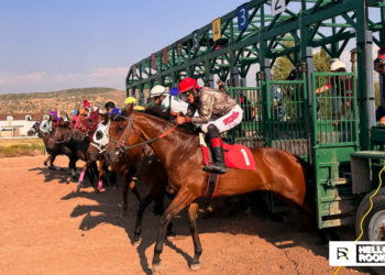 Wyoming Downs