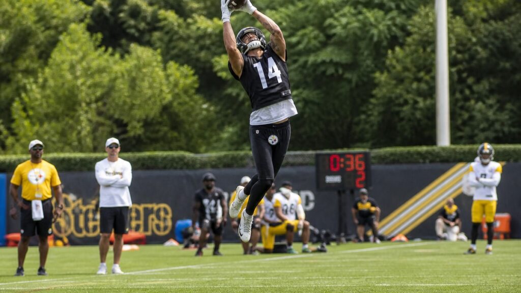 Roman Wilson making a catch for the Pittsburgh Steelers