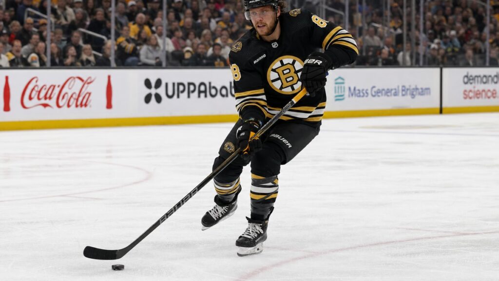 David Pastrnak of the Boston Bruins skating with the puck at TD Garden